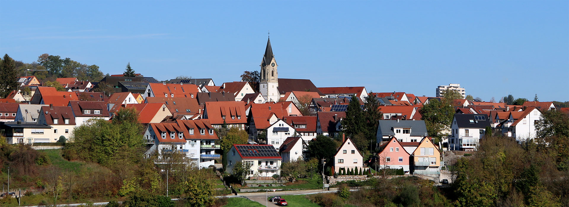 Pliezhausen